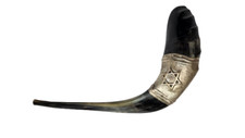 Shofarot Israel Star Of David silver Plated Ram Kosher Shofar 21" black full