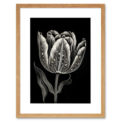 Tulpe Blume weiß auf schwarz Blind Kontur Volkskunst gerahmter Kunstdruck Bild 9 x 7 Zoll