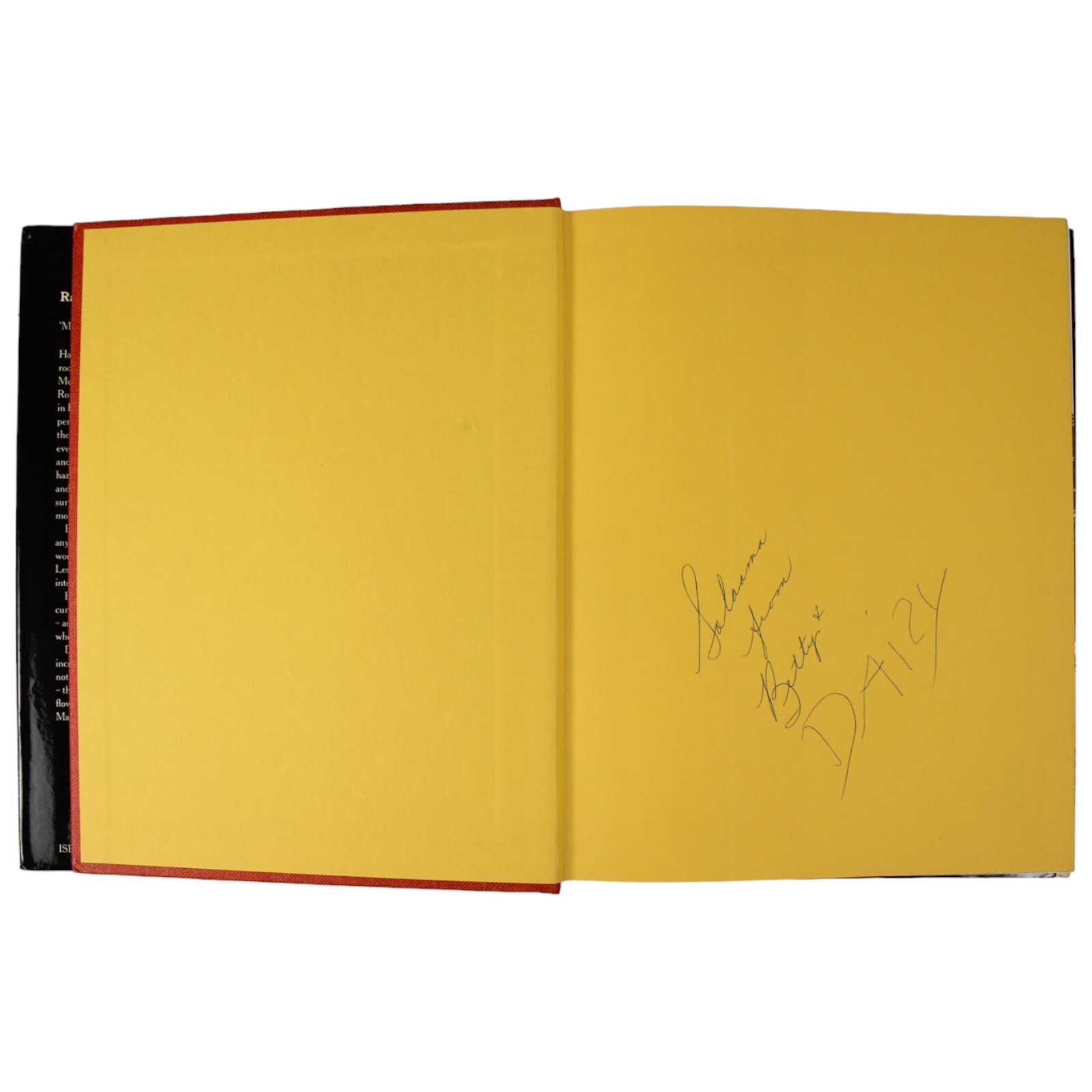 GIRAFFES DAISY ROTHSCHILD SIGNED RAISING DAISY ROTHSCHILD HCDJ BETTY MELVILLE 