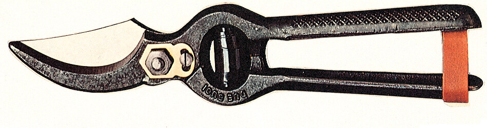 Forbici Professionali Due Buoi 125S 25cm - Acciaio Carbonio 1601250252
