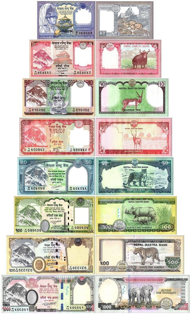 コレクション Nepalese rupee Nepal 1-1000 Rupees 8 Pieces Set, 1991-2020, P-37-82, UNC | eBay