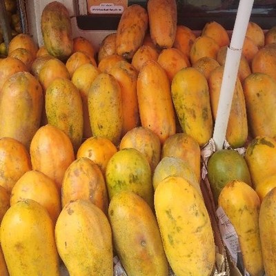 California Papaya Seedss (Carica papaya) for Planting