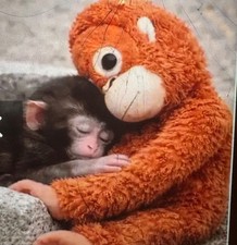 VIRAL Punch Monkey IKEA DJUNGELSKOG 26cm SOLD OUT USA/Asia NEW With Tag