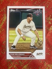 2023 Pro Debut Ivan Melendez #PD-149 Arizona Diamondbacks Visalia Rawhide