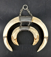 Wildschweinwaffe Keilerwaffe  Jagdtrophäe Hauer Zähne Gewaff 925 Sterlingsilber