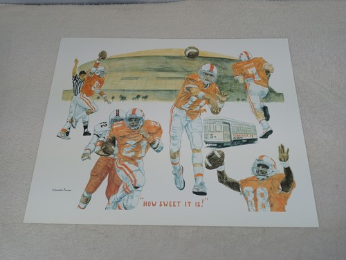Tennessee Vols 1986 Sugar Bowl “How Sweet It Is” Signed 20 x 16 Alexander Dumas - Picture 8 of 8