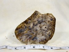 Top Shelf Montana Agate Slab, Lot#465