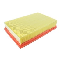 Luftfilter Filtereinsatz FüR Peugeot 206 307 CC SW Break Citroen C4 Vaico