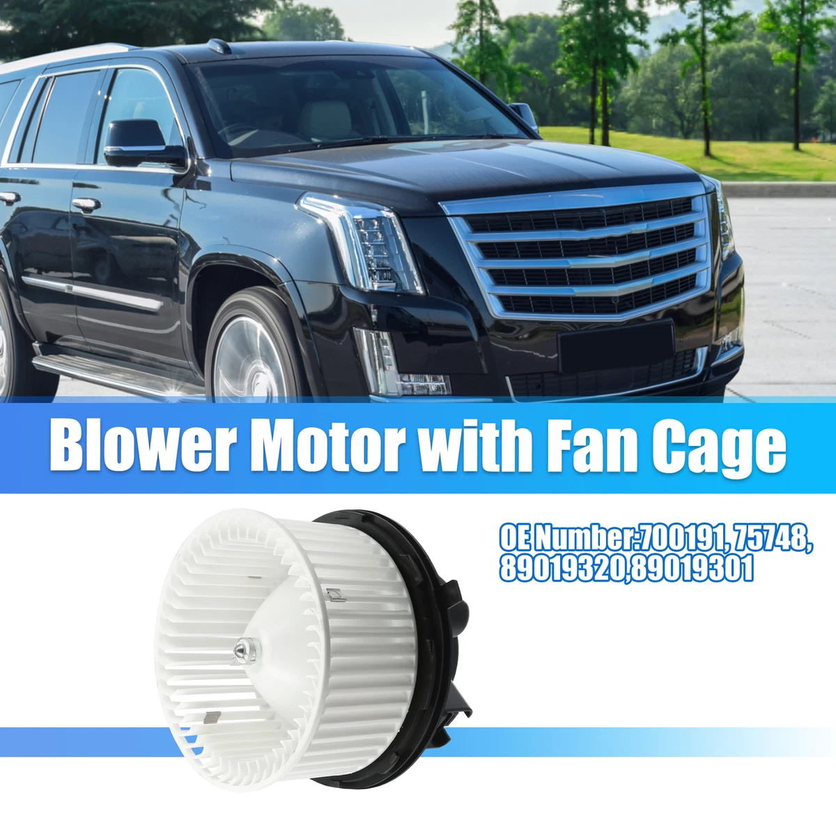 How to Remove And Install Auto Hvac Blower Motor Wheel