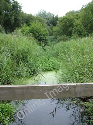Foto 12x8 Rivulet bei Sizewell Kernkraftwerk Eastbridge\/TM4566 c2011