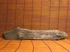 Beautiful 20" DRIFTWOOD Piece Terrarium Taxidermy Aquarium Beach Reptile DECOR