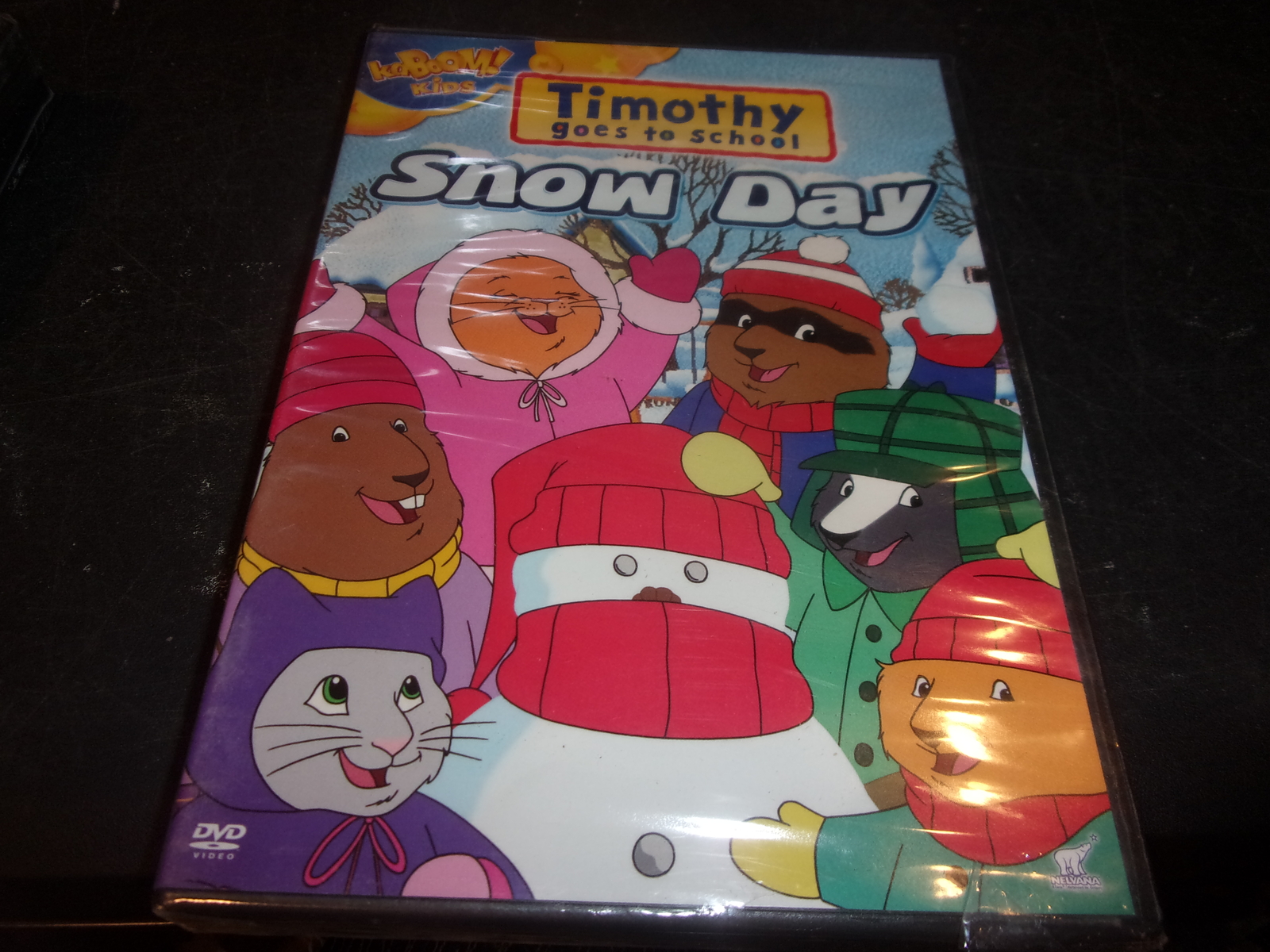 Timothy Goes to School: Snow Day (DVD, 2010) for sale online | eBay