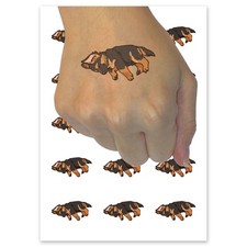 Sleeping German Shepherd Puppy Dog Cute Temporary Tattoo Fake Body Art