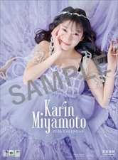 مقتنيات Karin Miyamoto