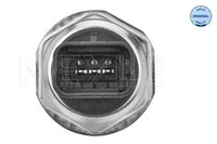 Gasfeder Koffer Laderaum Meyle 11 40 910 0018 FÜR Peugeot KlappendÄMpfer