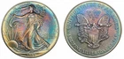 1993 American Silver Eagle Dollar $1 - 1oz .999 Fine Silver - Blue Toned