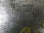 Bild 3 von 8