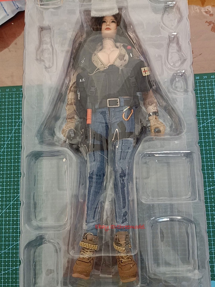 DAMTOYS DAM 1/6 DCG004 COMBAT GIRL Series Pisces LUCY Action