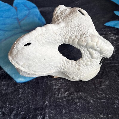  White fursuit Dino Mask Base T-rex cosplay dinosaur fun hobby decorate furry