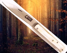 * REGIONAL FOLDING KNIFE* YSSINGEAUX * REAL BROSSARD * HORN * FRANCE *