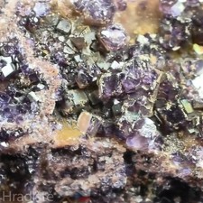 ✨ "Goldener" Fluorit Flußspat Kristalle 6,2cm 🌈 VIDEO! Hradiste ⚒️ Böhmen 🇨🇿