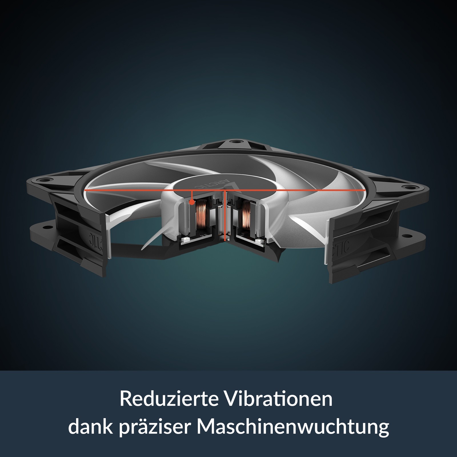 Zdjęcie 4 z 8