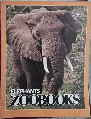 Kids 1989 Zoobooks 21 Magazines & 1 National Geographic Magazine - Picture 13 of 23