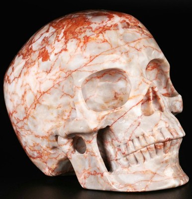 5.0'' Red Network Jasper Carved Crystal Skull,Super Realistic,Crystal Healing