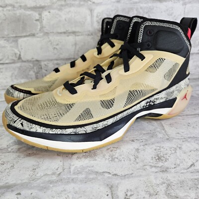 Nike Jordan 37 XXXVII Jayson Tatum Tattoos Beige 2022 DZ0812