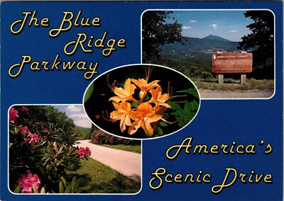 Humboldt Ca Cycling The Blue Ridge Parkway Blue Mountain Bicycle