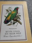 Bild 3 von 12