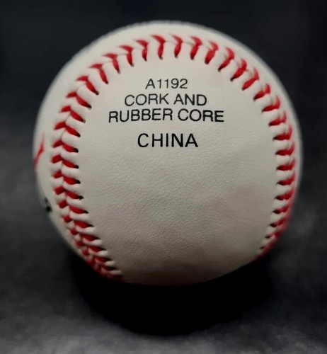 MICHAEL JORDAN AIR NIKE OFFICIAL LEAGUE BASEBALL SPRING TRAINING LIMITED EDITION - Bild 10 von 23