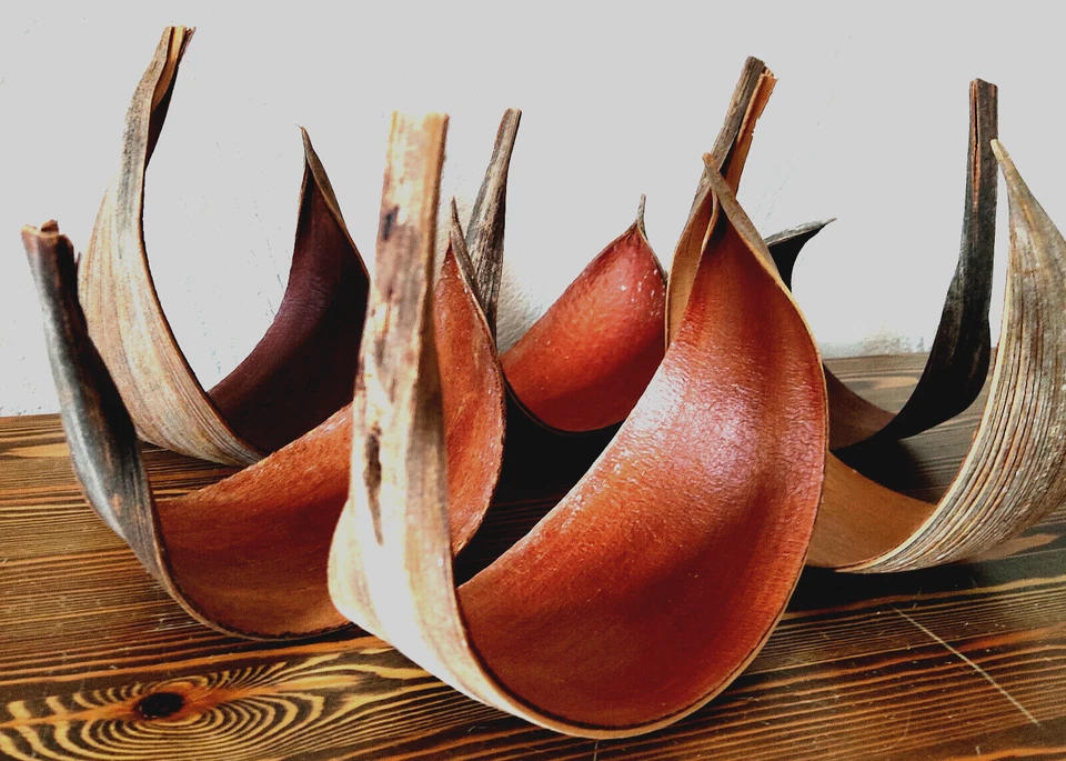 Natur Kokosblatt 30-40 cm gebogen Palmen Blatt Kokoschale zum basten Dekoschale - Bild 2 von 4