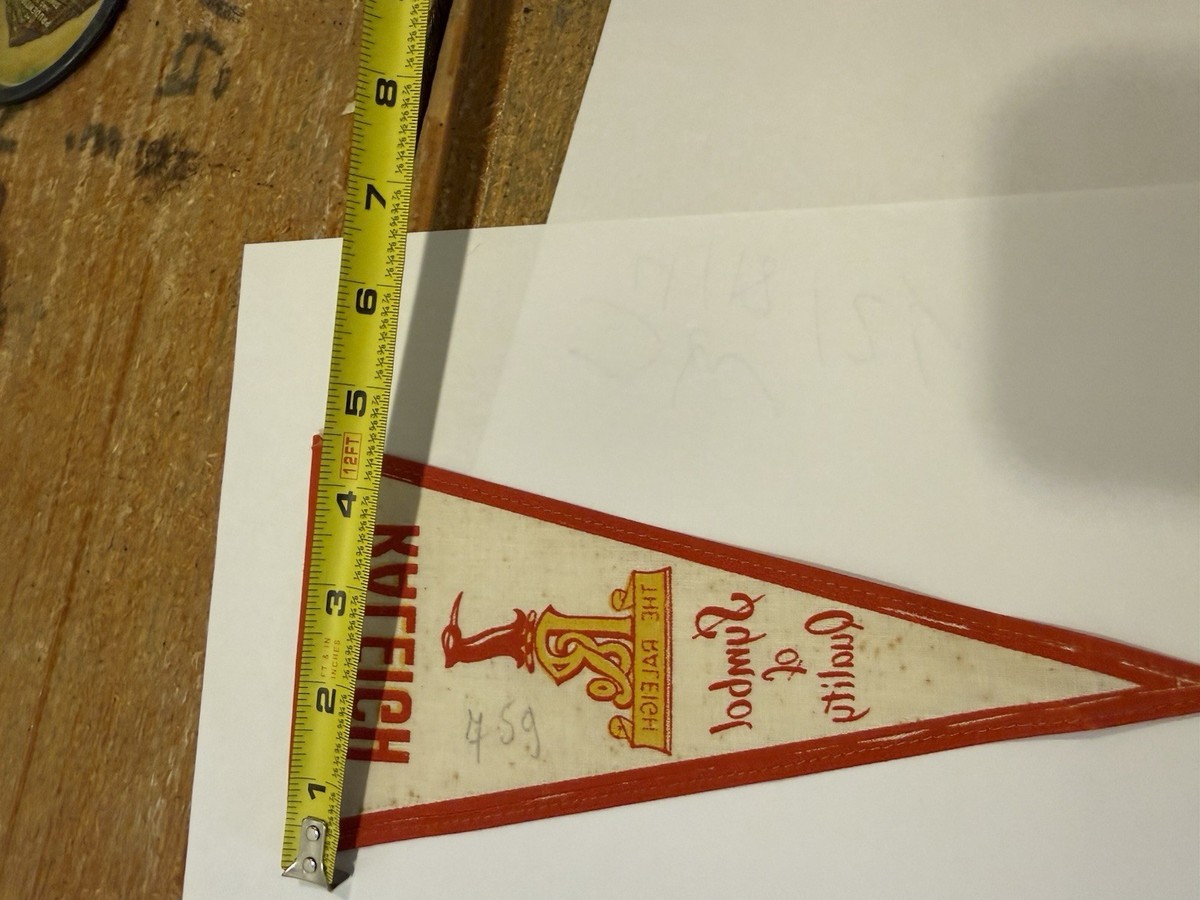 1920s Raleigh Cycles Pennant Sign Advertising Bicycle Skip tooth