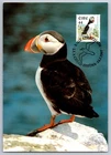 Ireland 1997 Puffin FDC Maxi Card