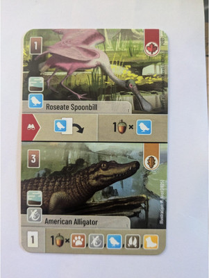 Mischwald / Forest Shuffle Promo  P027 Roseate Spoonbill & American Alligator