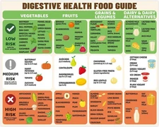 FODMAP Chart Fridge Magnet, Diabetes Gut Health Food Guide 10x8in, Polychrome 