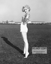 Marilyn Monroe Posing In The Garden In Shorts 8x10 PRINT PHOTO