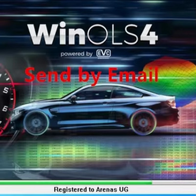 2022 HOT Selling Winols 4.7 with Plugins +2021 Damos +ECM TITANIUM+ Immo Service