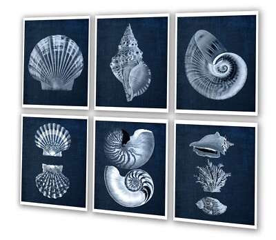 Beach Decor Seashells set of 6 Unframed Art with Navy Background | eBay