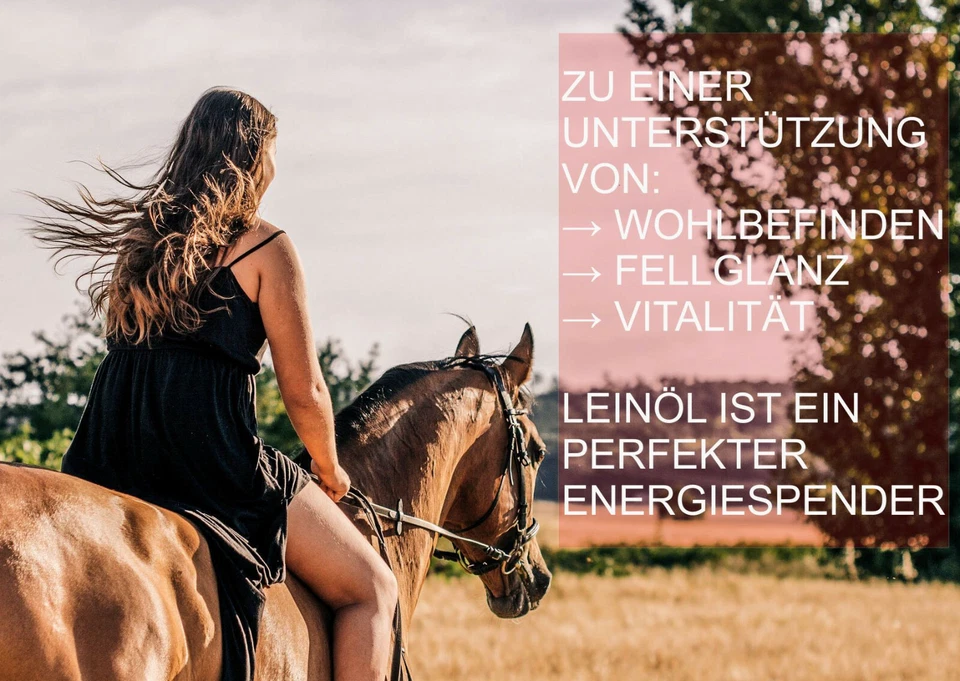 Leinöl 100 % - 5 Liter Erstpressung - frisch ohne Zusätze - Naturbelassen, Pferd - Bild 4 von 4