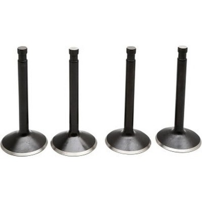 Kibblewhite Precision Black Diamond Ventil Kit 20-22400 0926-3313 961954