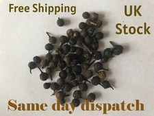 Kabab Chini Grade A quality  - Whole Cubeb - Piper Cubeba - Java Pepper-50g