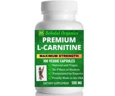 L-Carnitine 500mg Vegan Capsules 100 Count