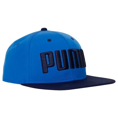 Puma Flat Brim Large Logo Junior Kids' Blue Polyester Adjustable Authentic  Cap | eBay UK