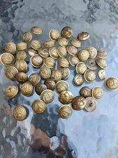 Massachusetts Staff Cuff Militia Civil War Era Uniform Scovill Button