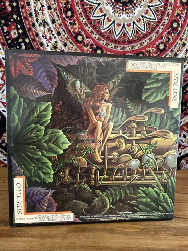 Spyro Gyra – Catching The Sun ~ NM/EX, Gatefold - 第 7/7 張圖片