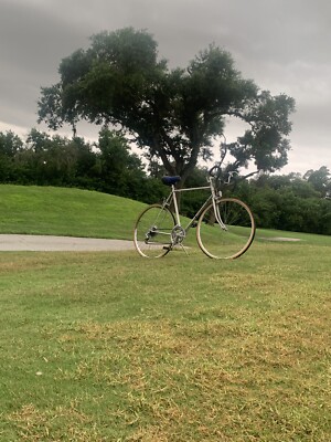 1980's SCHWINN WORLD SPORT MENS 10 SPEED ALL ORIGINAL needs Work