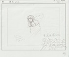 The Twelve Kingdoms Juuni Kokki Genga Douga Original Sketches Pierrot - Youko — photo 1
