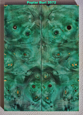 Beautiful Stabilized Green Poplar Lace Burl scales #3572, 5 7/8 x 2 1/16 x 7/16''